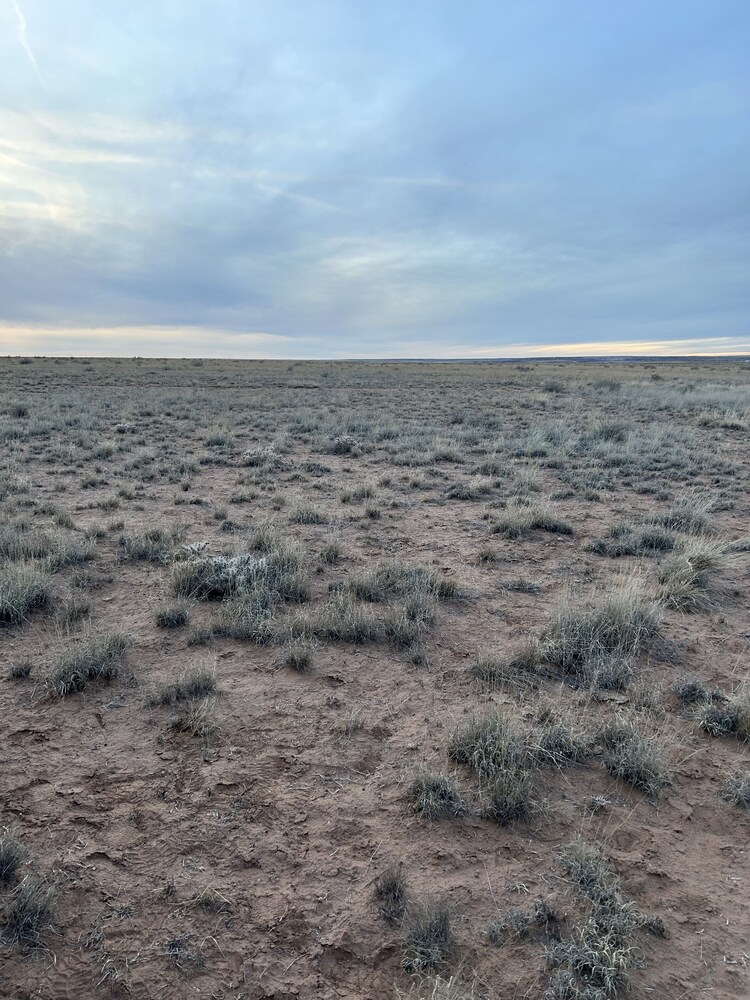Petrified National Forest/Meteor Crater near Holbrook,AZ Navajo