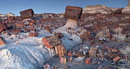 Petrified National Forest/Meteor Crater near Holbrook,AZ