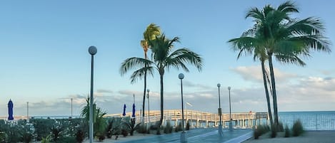 A beachfront walkway with palm trees, a pool, and a pier in the background.