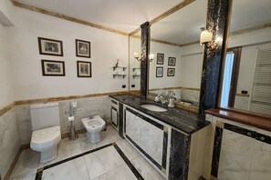 Shower, hair dryer, bidet, towels