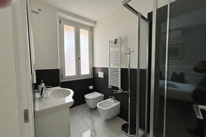 Shower, hair dryer, bidet, towels