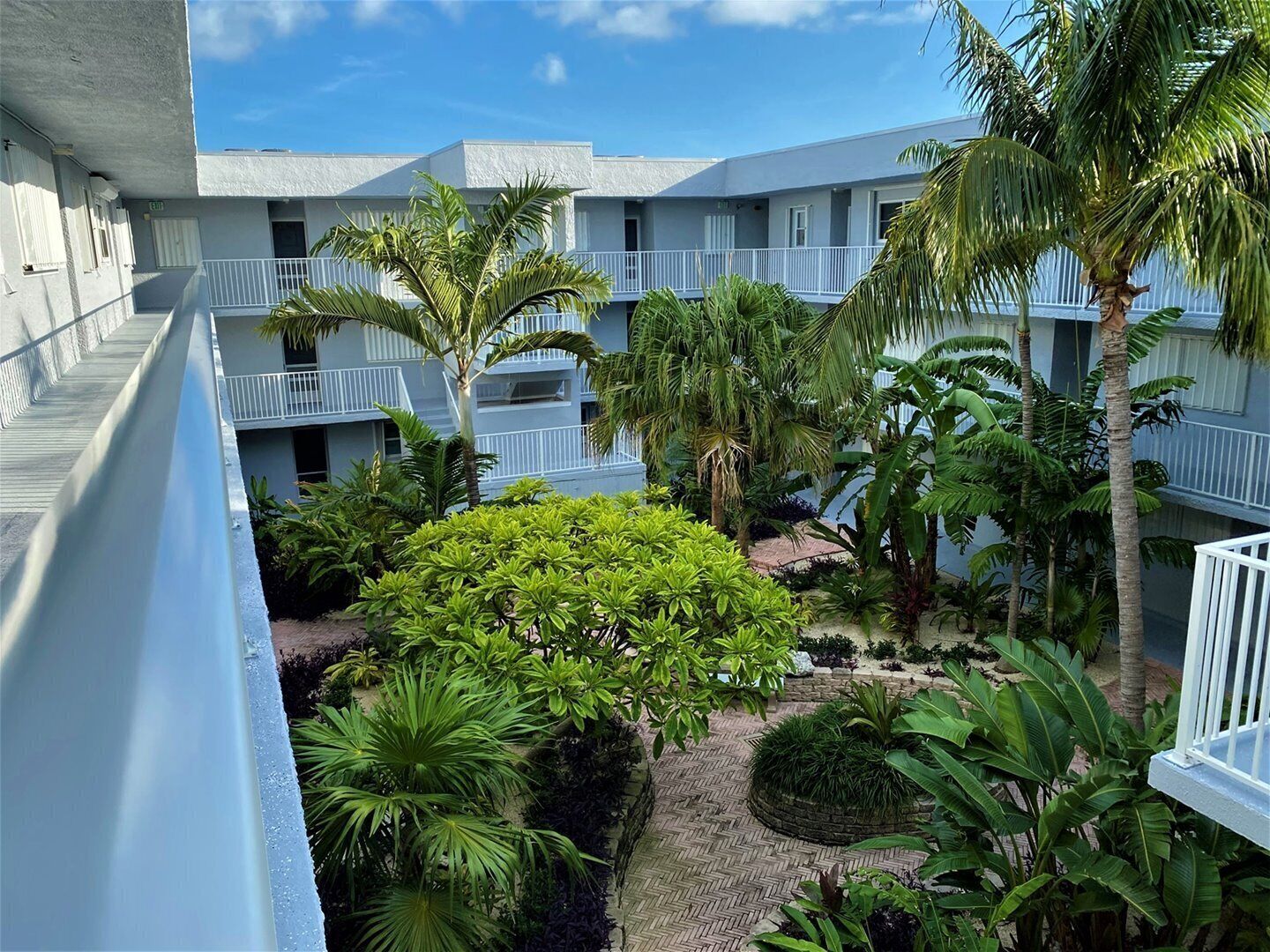 A courtyard with a pool, palm trees, and a building with balconies.