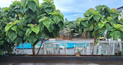 Iguaçu House