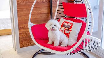 Un perro blanco en una silla roja acolchada con un cojín que muestra un autobús y texto.
