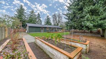 Terrain de l’hébergement