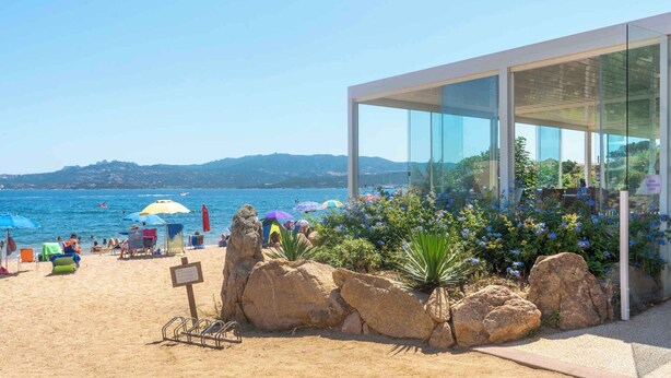 شاطئ
