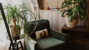 A cozy room with a wooden ceiling, a green armchair, and multiple potted plants.