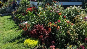 A restaurant named '2 cats' with outdoor seating and a garden area with various flowers. - Historic 2 Cats Inn-Free Breakfast-Georgia Room (Bar Harbor)