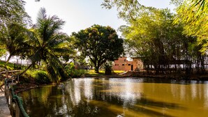 A calm pond with a wooden walkway and a tree in the center. - Pousada Vida de Rio (Santana do Sao Francisco)
