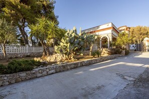A courtyard with a cactus, stone wall, and a building with arches.