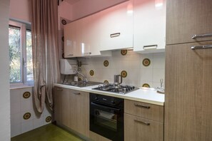 Fridge, oven, stovetop, dishwasher