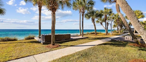 A coastal walkway lined with palm trees and benches, leading to the sea.