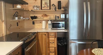Private 3bdr cabin on Apple River kayaks, SUPS, and paddle boat. Pet friendly!