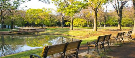 Ein Park mit Teich, Bänken und Bäumen.