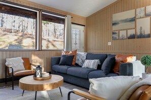 スマートテレビ、暖炉、テレビゲーム、DVD プレーヤー