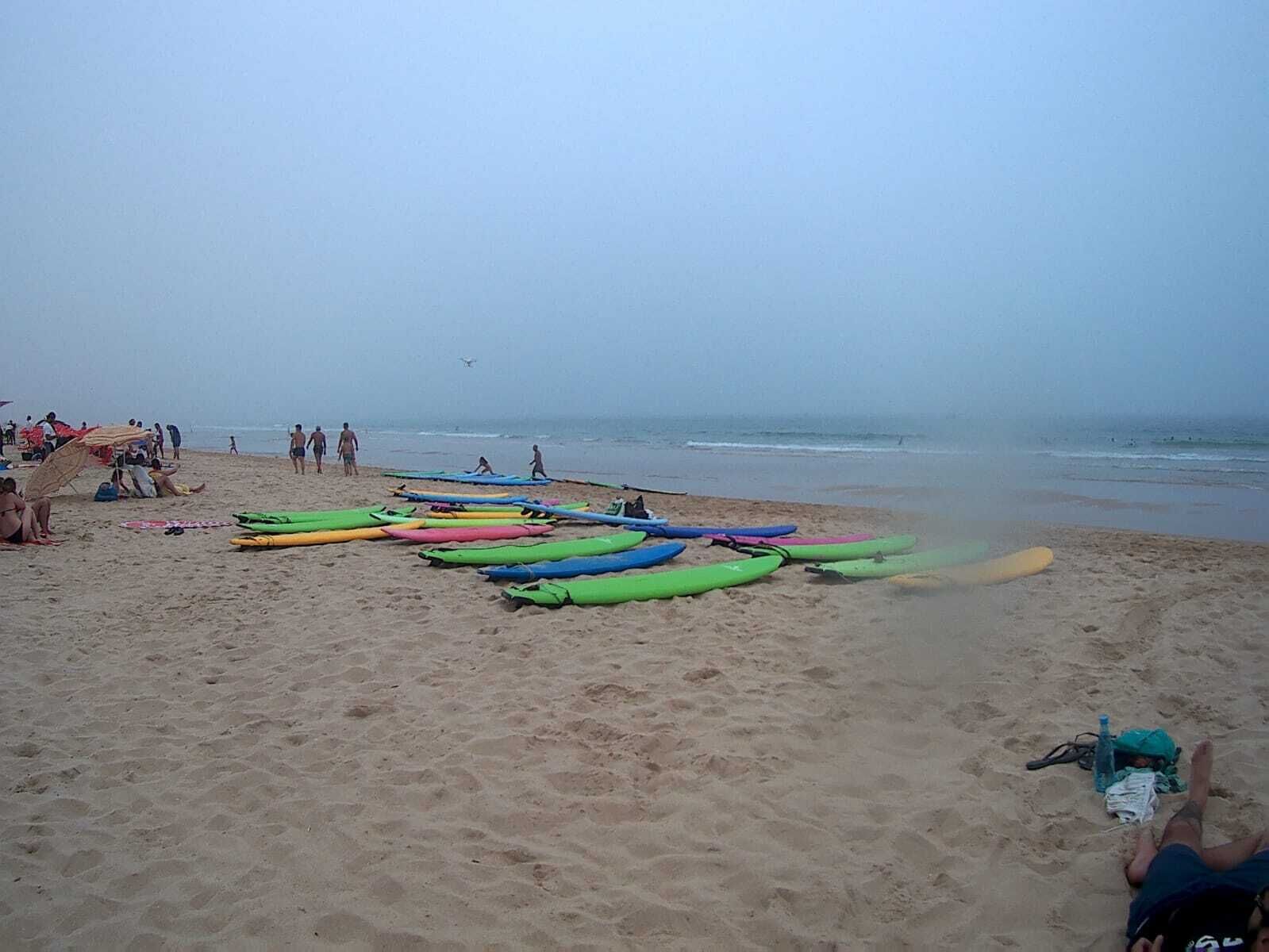 A beach with kayaks lined up and people in the background.