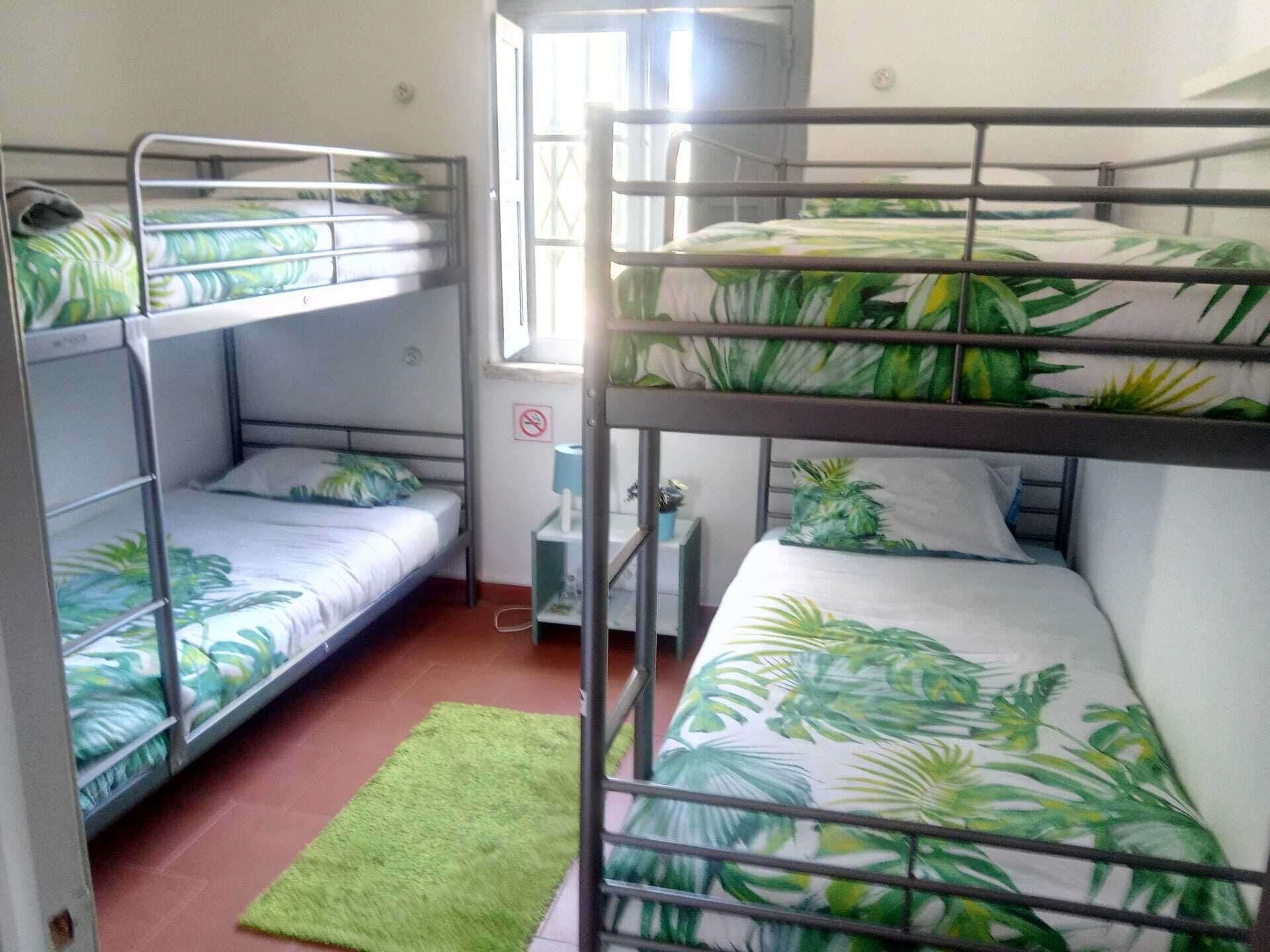 A dormitory room with bunk beds, a green rug, and a window with a view.