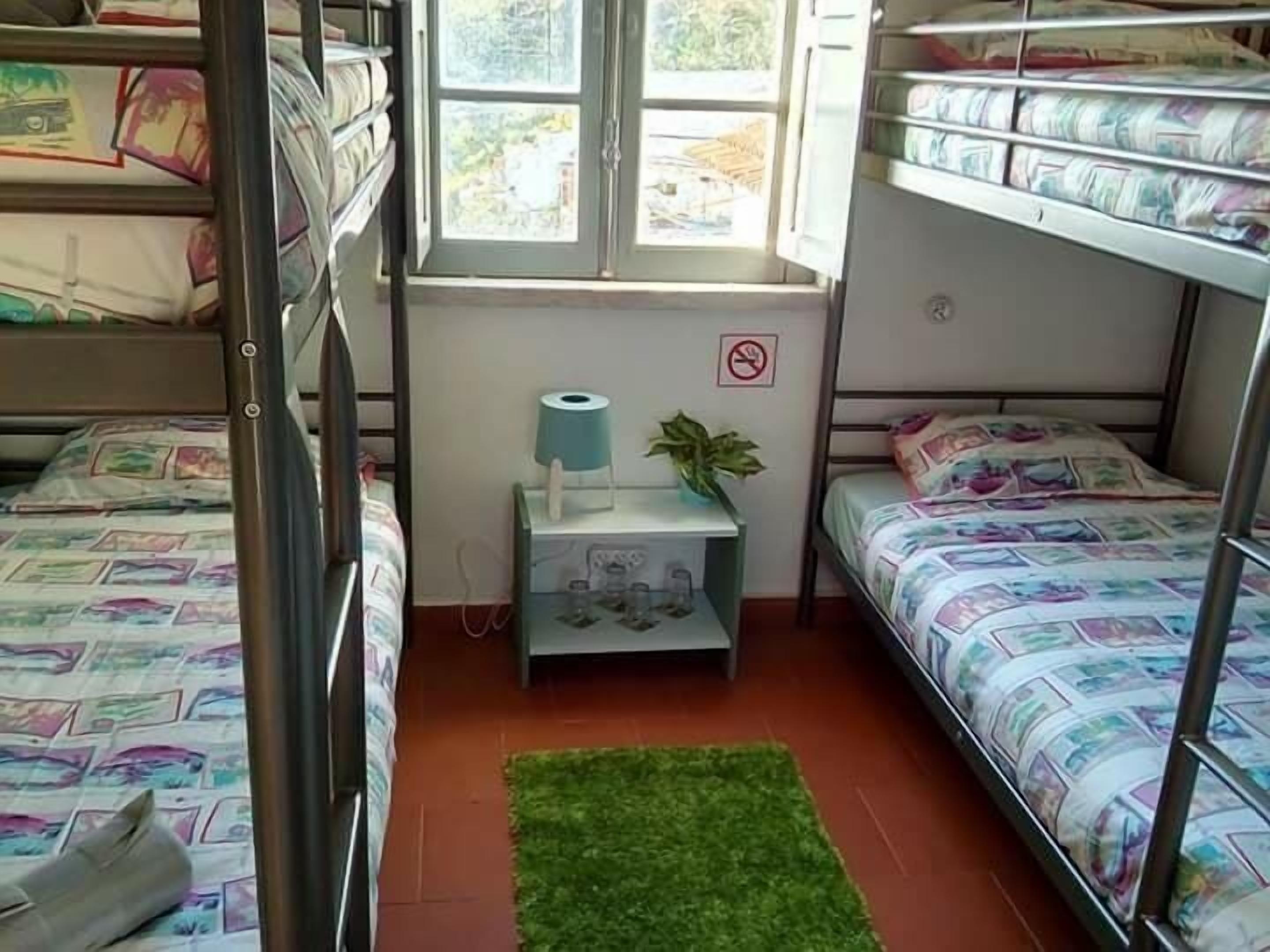 A dormitory room with bunk beds, a small bedside table with a lamp, a plant, and a window with a view of the outside.