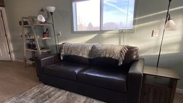 Smart-tv, pejs, bøger