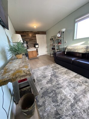 Smart TV, fireplace, books
