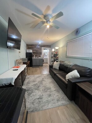 Smart TV, fireplace, books