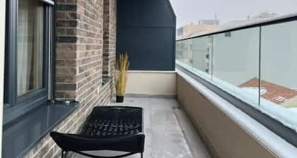 Austin Modern Penthouse in the heart of Belgrade