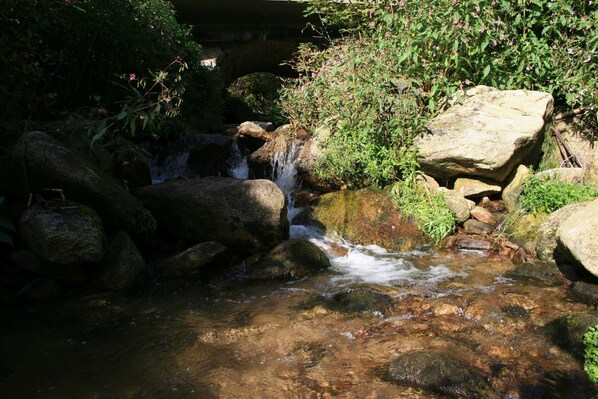 Un arroyo natural con rocas y vegetación.