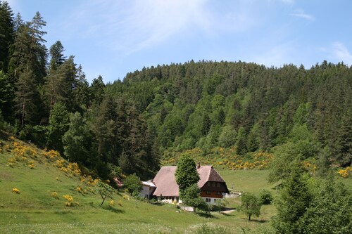 Holiday Home 'Haus Am Waldrand' with Mountain View, Private Terrace and Wi-Fi
