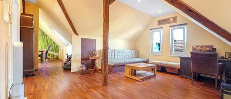 Télévision, cheminée, chaîne hi-fi