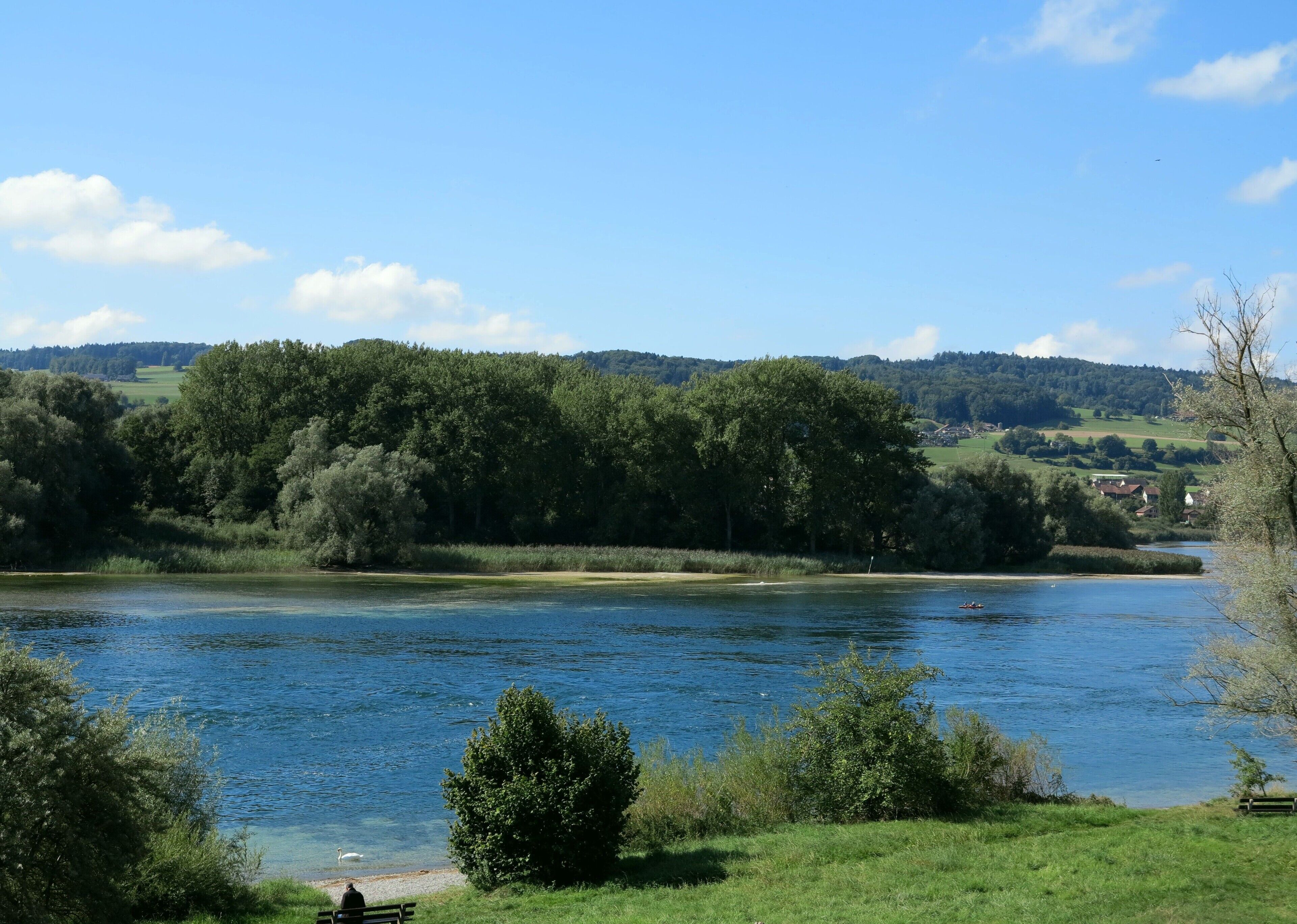 Ein Fluss mit einer Bank und Bäumen im Vordergrund.