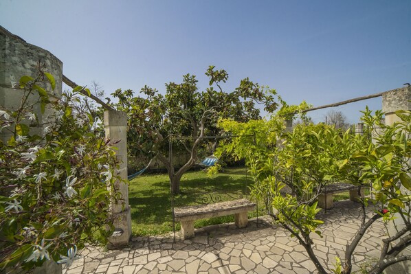 Property grounds - Villa Lisa with huge Pool and Garden (Melendugno)