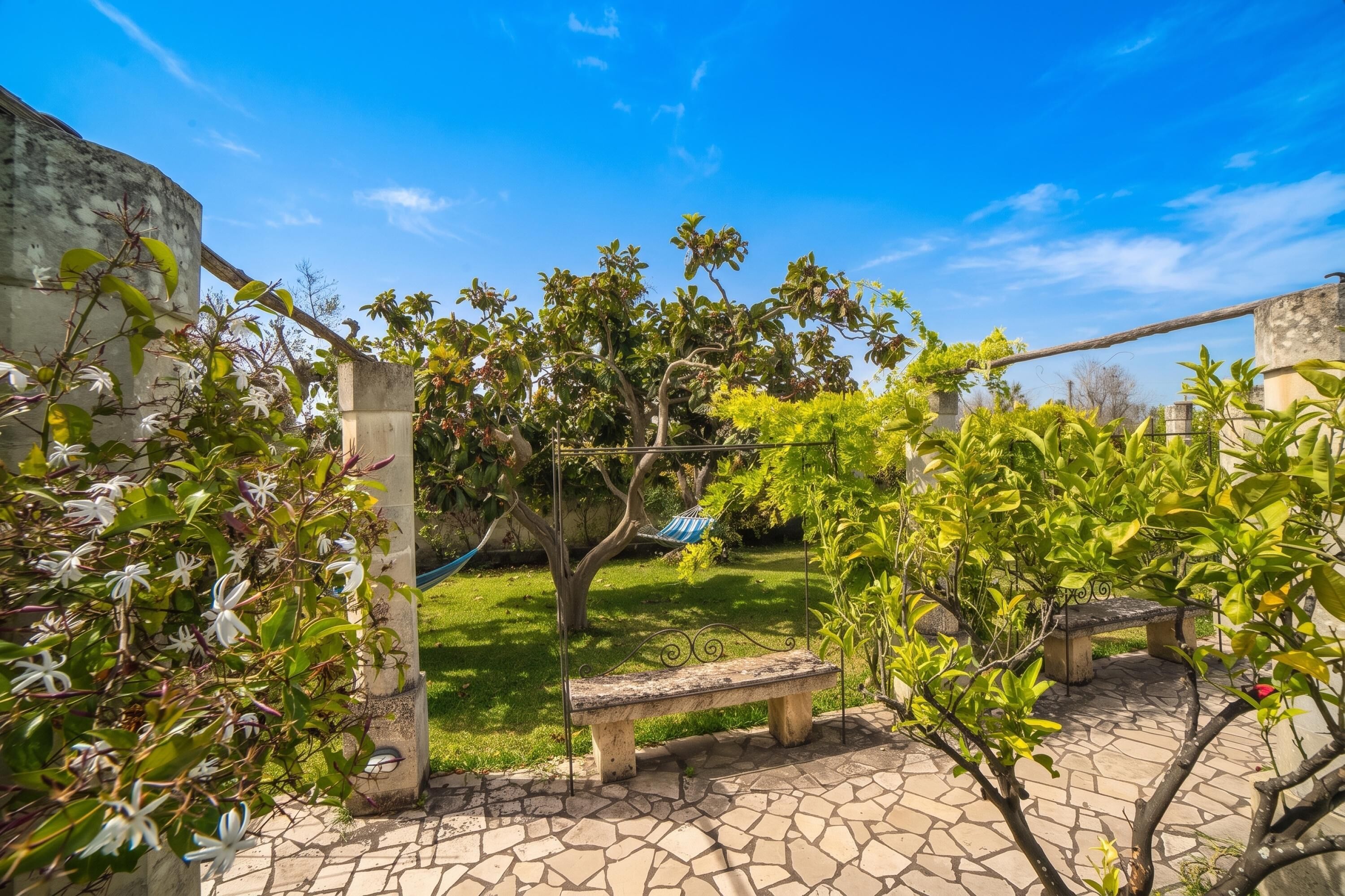 A courtyard with a stone bench, a hammock, and a tree.