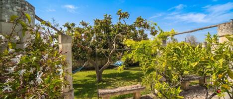 A courtyard with a stone bench, a hammock, and a tree.