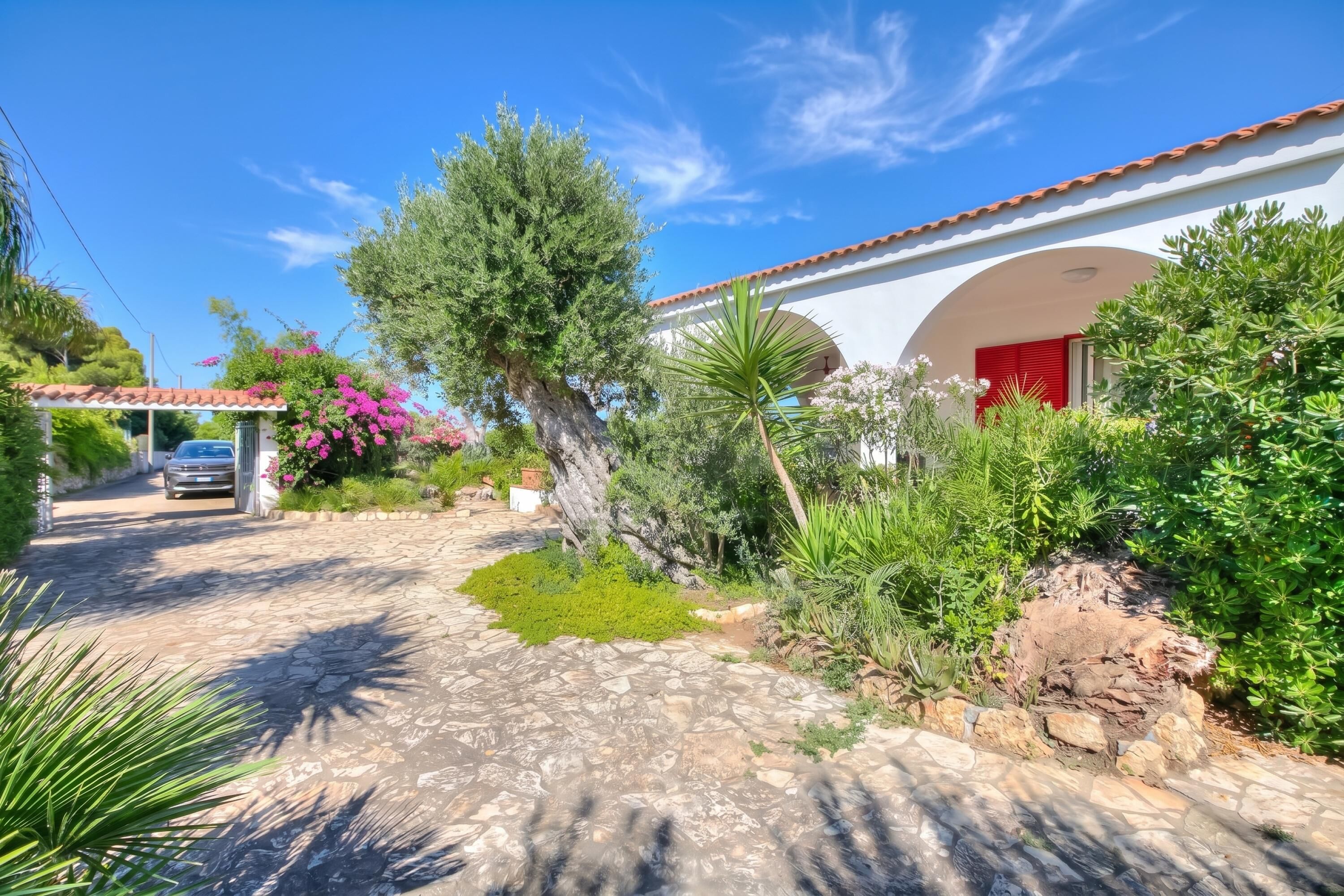 Vila standard, 3 quartos, terraço (Villa Strea with pool) | Área da propriedade