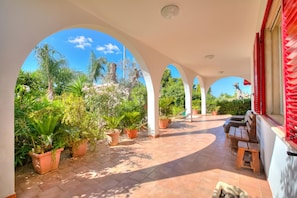 A covered outdoor area with potted plants, wooden benches, and a clear blue sky.