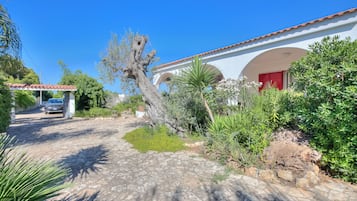 Área da propriedade