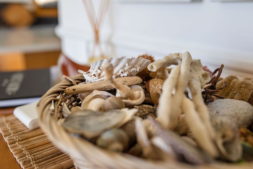 A wicker basket filled with various natural items like seashells and driftwood.