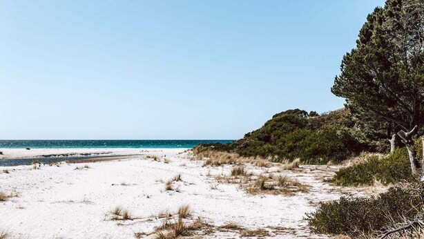 A beach with sand, sparse vegetation, and a clear sky. - sloop cottage | beachfront | vibes (Break O'Day)