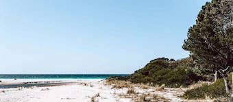 sloop cottage | beachfront | vibes