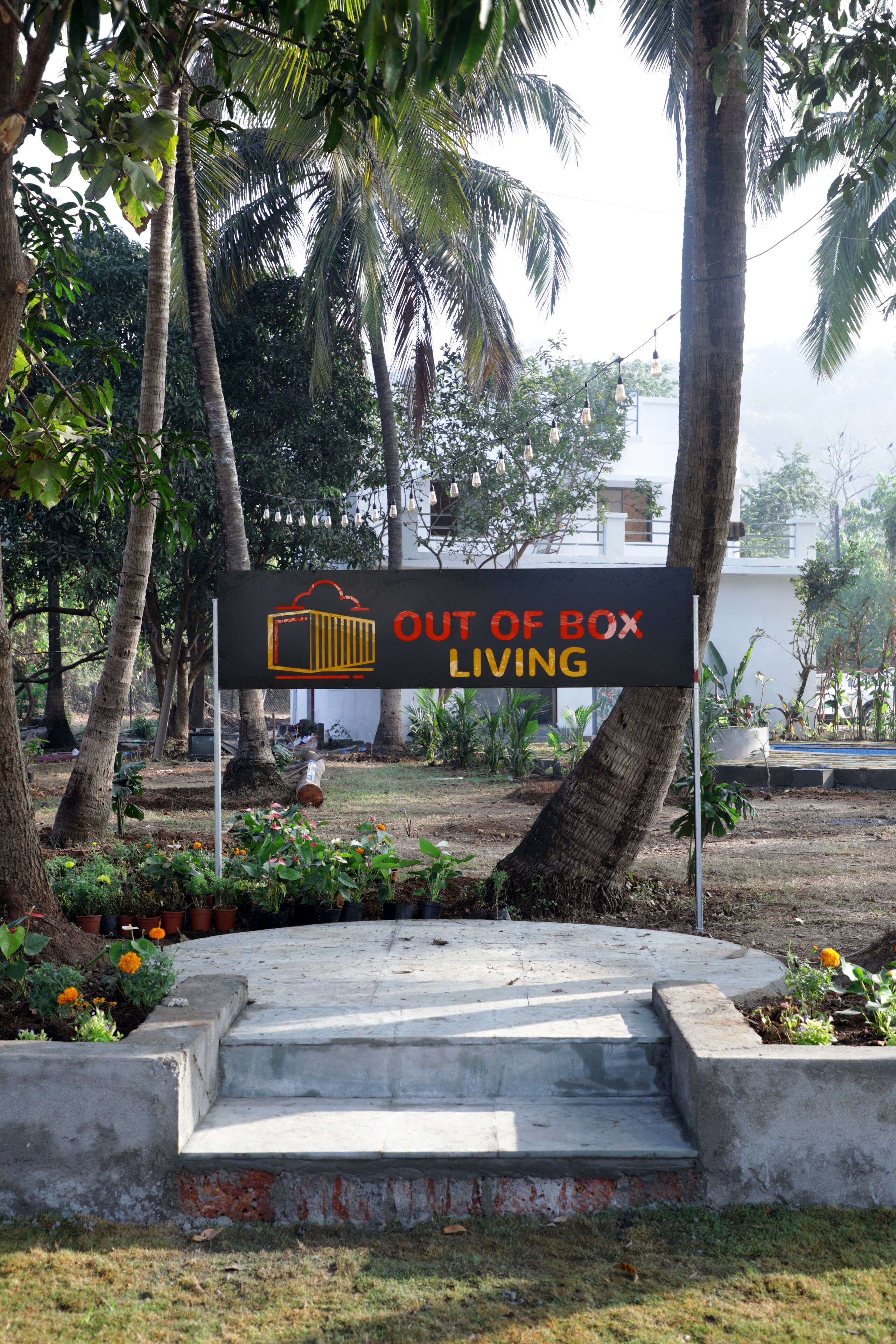 Un letrero que dice 'Out of Box Living', con escalones que lo conducen, rodeado de palmeras y plantas en macetas.