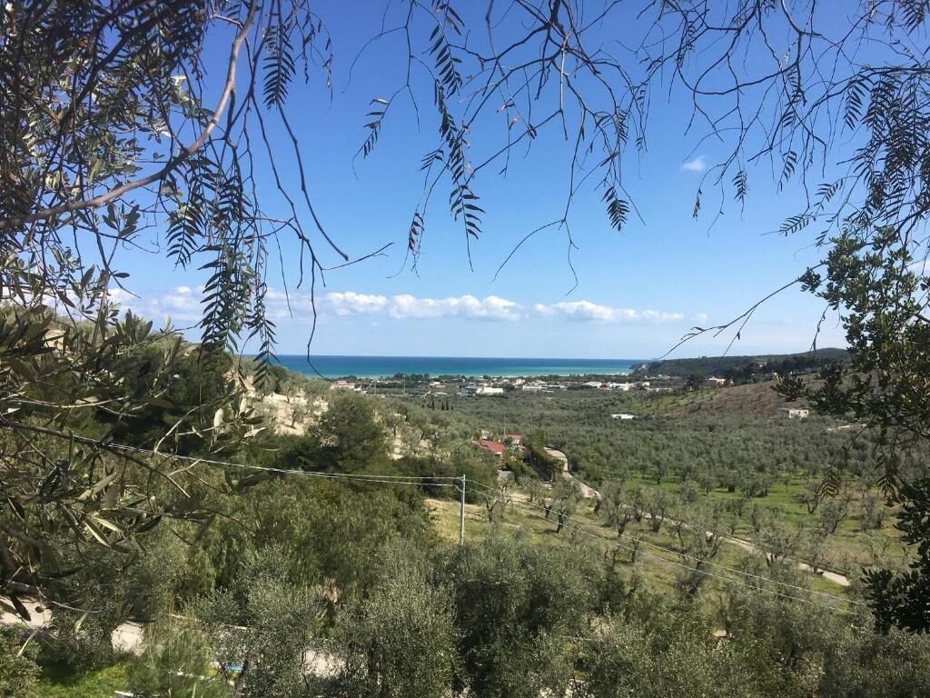 Eine Küstenlandschaft mit Olivenhainen und Blick auf das Meer.