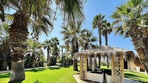 Un jardin tropical agrémenté de palmiers, d’un kiosque à toit de chaume et d’un chemin pavé.