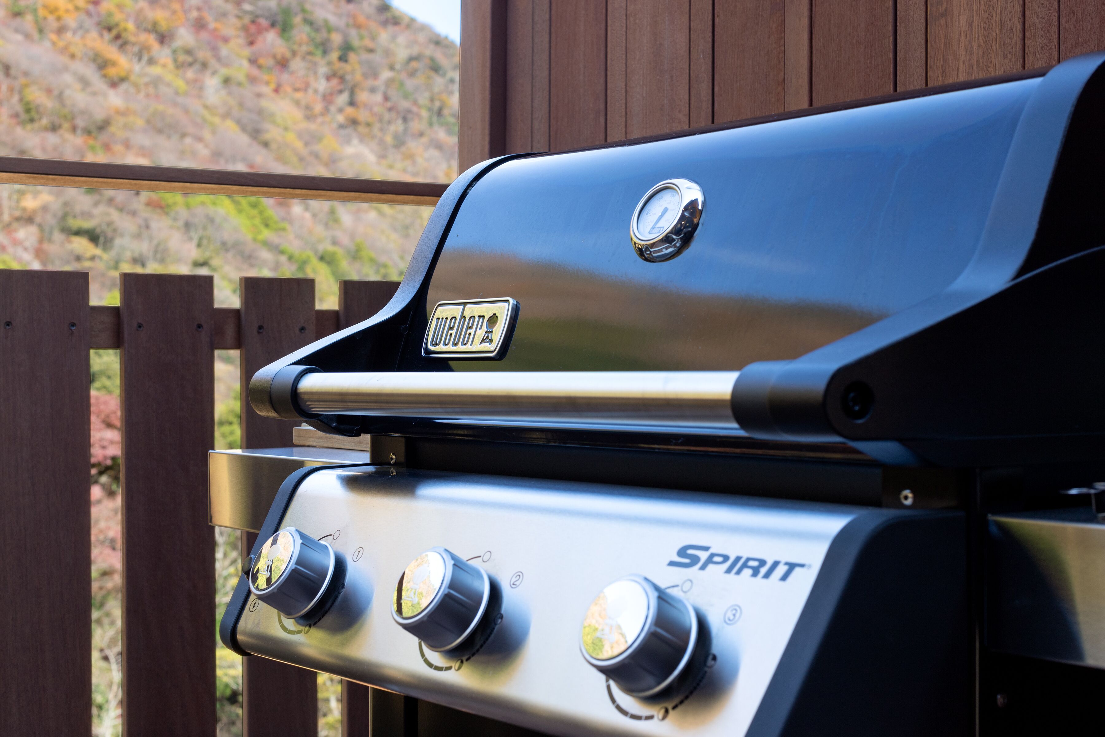 A Weber Spirit grill with three control knobs and a logo.