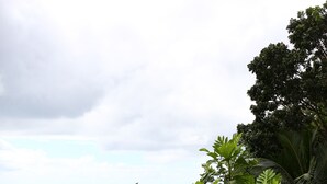 Un jardin luxuriant, parsemé de différentes plantes tropicales, d’où l’on peut admirer une ville lointaine.