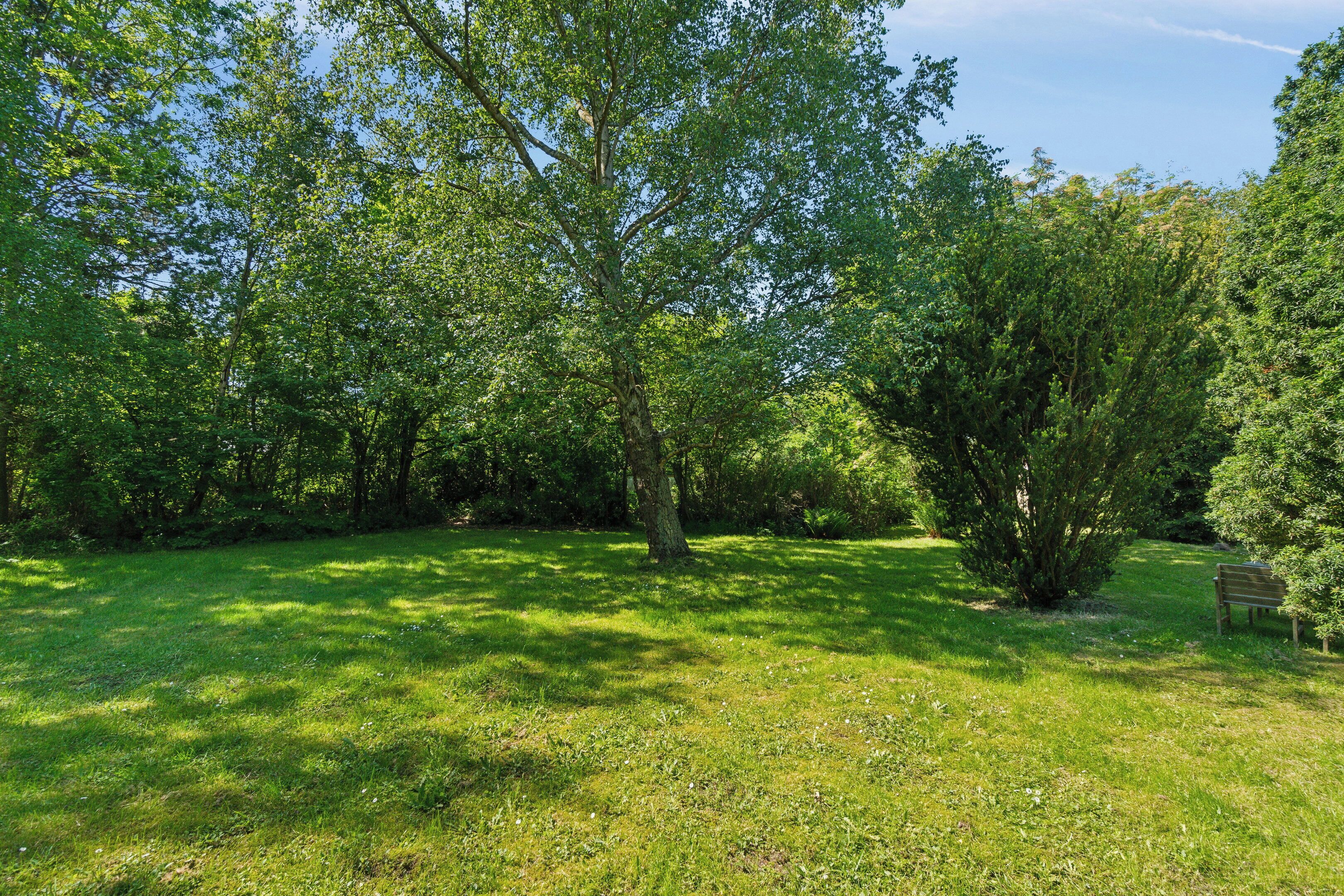 A grassy area with trees and a bench.