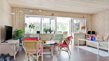 Fireplace, DVD player