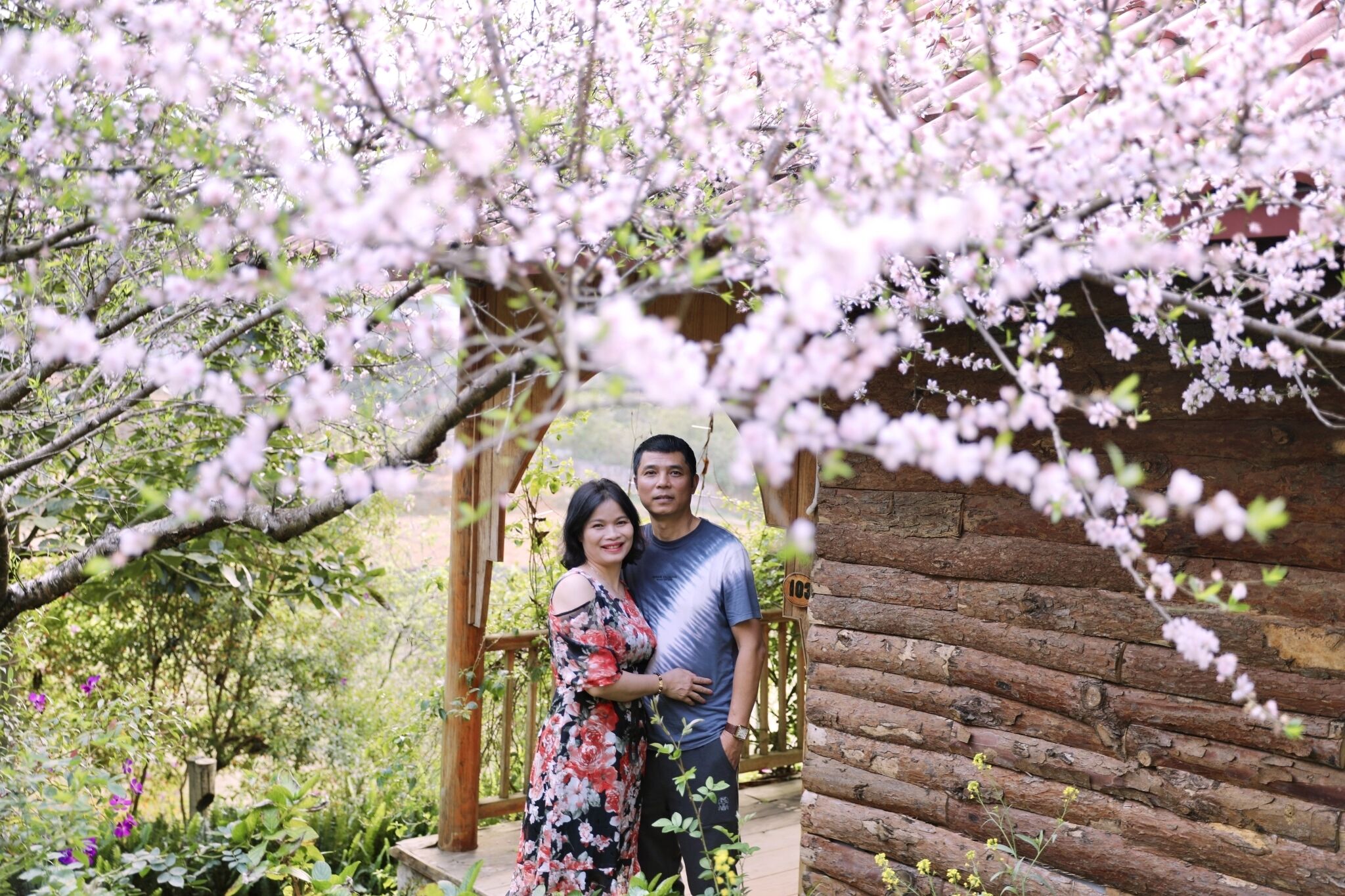 Un couple se tient sous une arche de fleurs de cerisier devant une cabane en bois rustique.