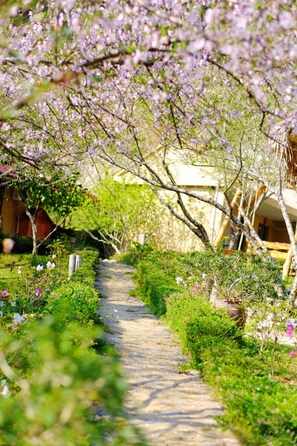A garden pathway with blooming trees and a rustic building in the background. - Van Ho Ecolodge (Van Ho)