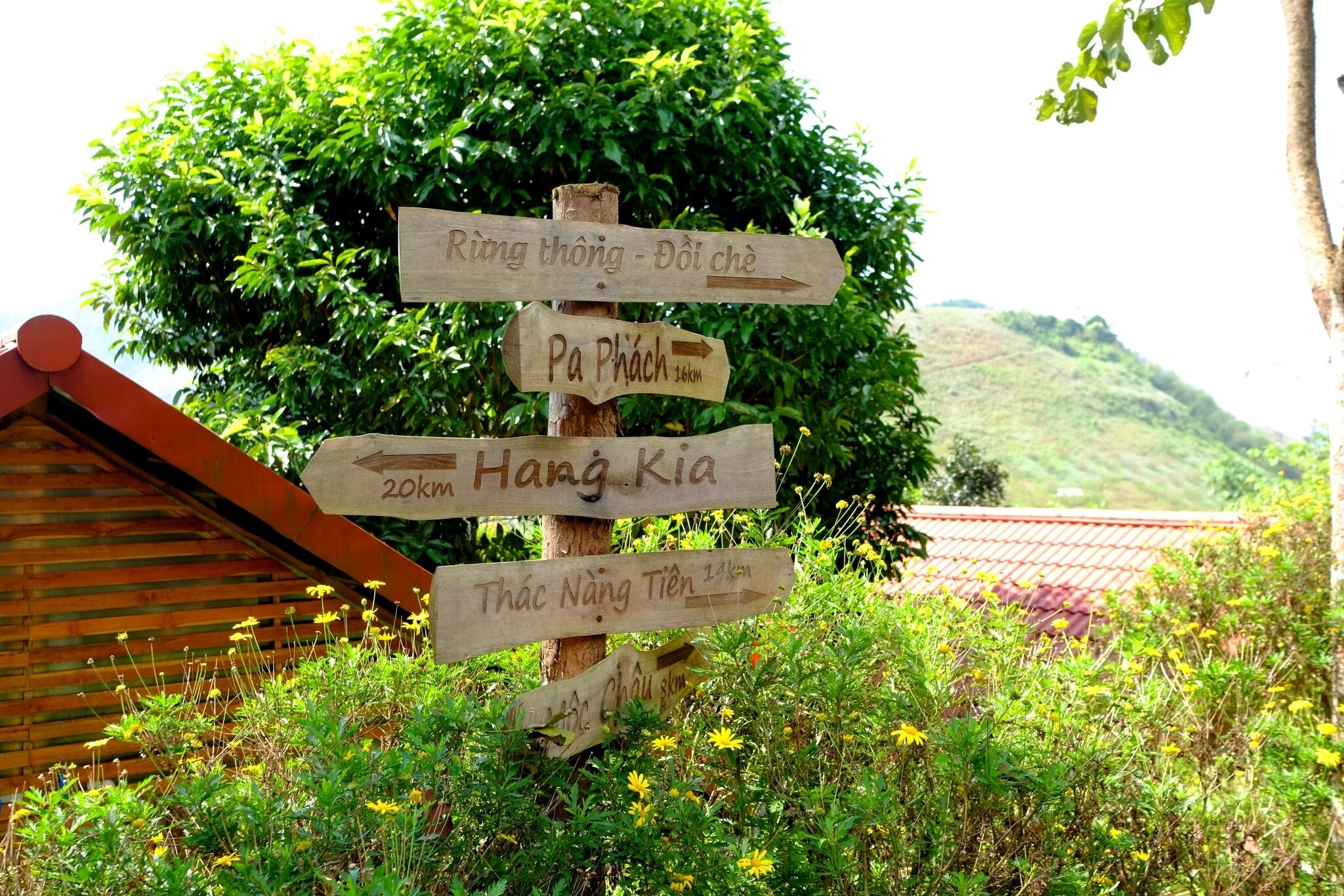 Un panneau indicateur en bois, orné de flèches indiquant différentes directions.