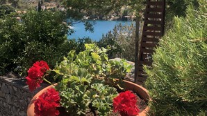 A potted plant with red flowers and green foliage, a stone wall, and a view of a body of water with trees in the background. - Villa More A-11 (Sutivan)